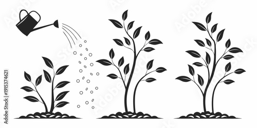 Illustration of a gardener nurturing three plants at different growth stages. Vector