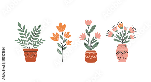 Colorful flowers in decorative pots indoor.