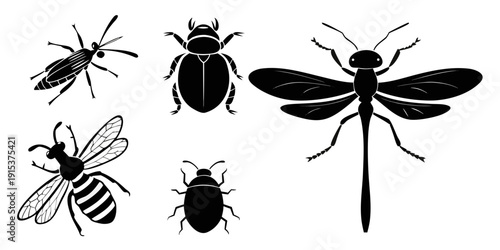 A diverse collection of insects including flies, beetles, and a dragonfly Vector