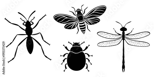 A diverse collection of insects showcasing various species and their unique characteristics Vector
