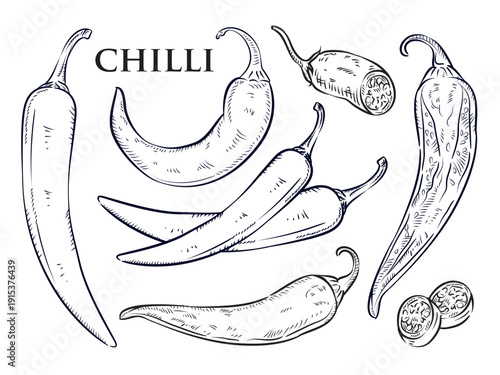 Line art illustrations of chili peppers in various styles. Vector illustrations of black chili peppers, separate from the background, editable, suitable for teaching purposes.