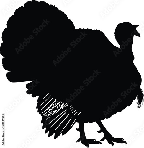 Simple chicken silhouette vector illustration of a farm bird