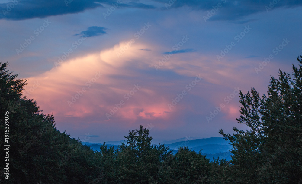 Fototapeta premium Sunset Sky over Beech Forest Silhouettes in the Carpathians