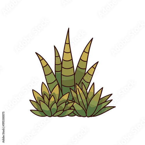 Green Succulent Plant Leaves Closeup.