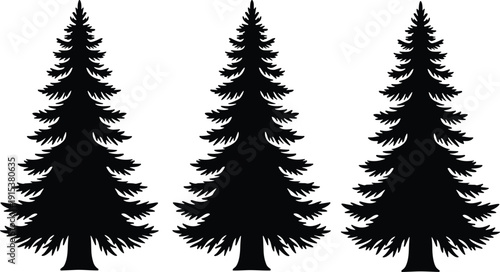 Pine tree silhouette set black and white evergreen forest nature vector illustration isolated design collection