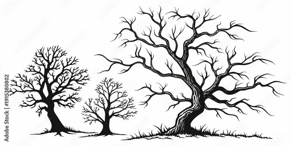 Obraz premium Three bare trees standing in a row with intricate branches against a plain background Vector