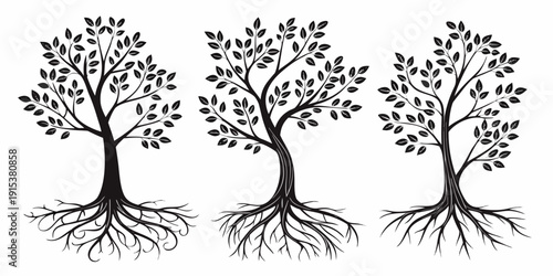 Three distinct trees with intricate roots and branches showcasing nature's beauty and diversity Vector