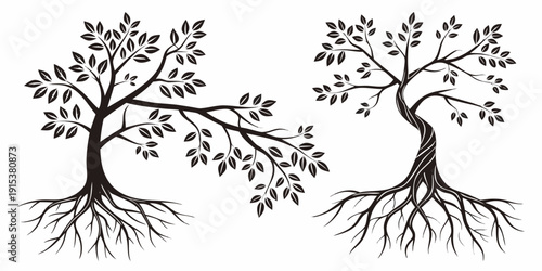 Two trees with intricate branches and roots growing in opposite directions. Vector