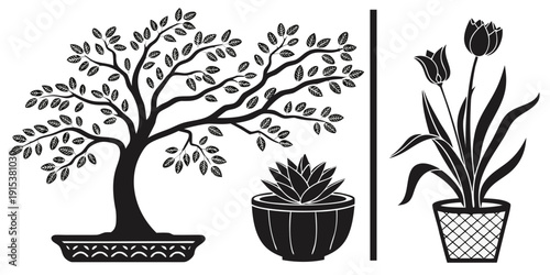 A variety of potted plants and flowers arranged in a garden setting. Vector