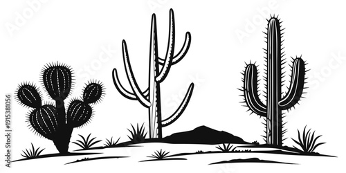 Bilde på lerret Three cacti and a tumbleweed in a desert landscape Vector