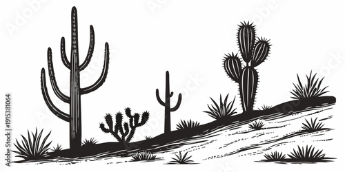 A serene desert landscape featuring three distinct cacti silhouettes. Vector