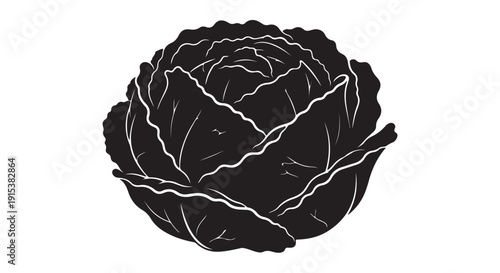Cabbage Silhouette: A stark, elegant silhouette of a perfectly formed cabbage, rendered in monochrome. The image highlights the intricate texture and form of the vegetable.
