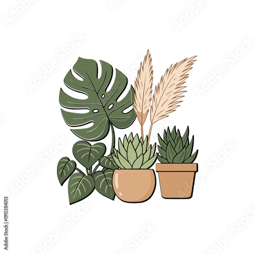 Potted plants with green leaves and succulents.