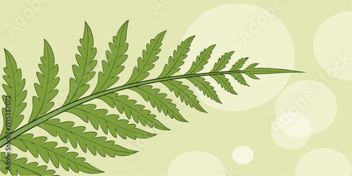 A single, detailed fern leaf with serrated leaflets extending from a central stem, positioned diagonally across the frame.