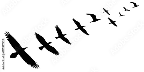 A flock of birds flying in a diagonal formation across a white background. Vector