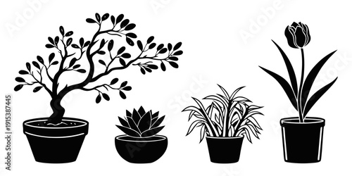 Four distinct potted plants displayed in a row, each with unique shapes and leaf structures. Vector