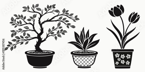 A variety of bonsai trees displayed in a row on a wooden surface. Vector