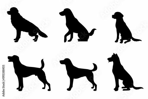Silhouettes of various dog breeds in a simple graphical arrangement