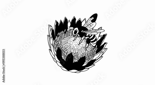 A detailed ink drawing of a bee collecting nectar from a large, stylized flower