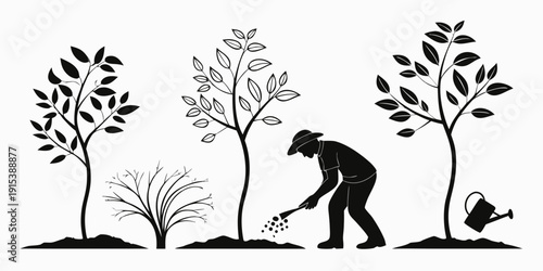 A person planting a tree in a field with various stages of tree growth Vector