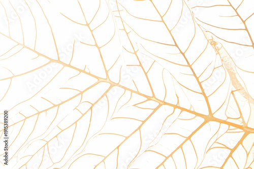 Close up of a leaf s veins with a soft warm orange tone