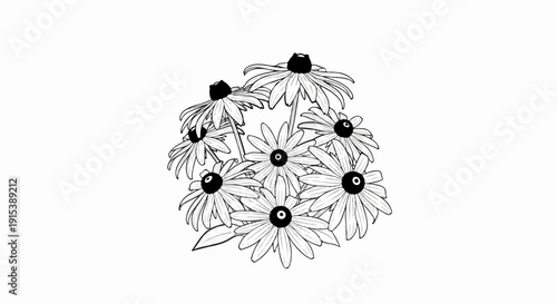 A cluster of black-eyed Susan flowers in a sketchy, line-art style