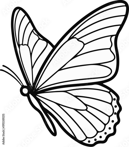A detailed, black and white line drawing of a butterfly with spread wings and antennas