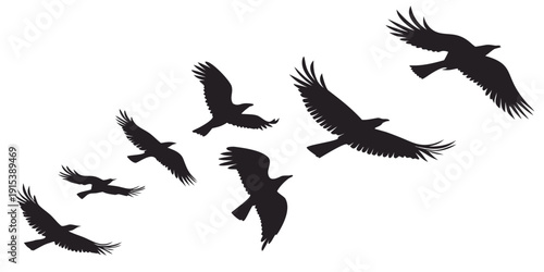 A flock of birds flying in a v-formation against a white background Vector
