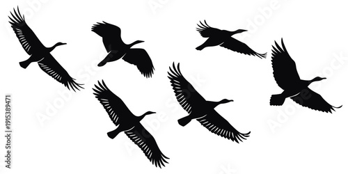 A flock of black birds flying in a clear blue sky during the day Vector