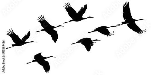 A flock of birds flying in a diagonal formation against a white background Vector
