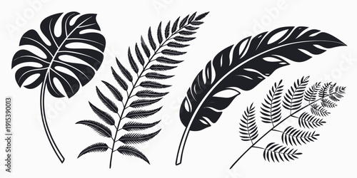 A collection of various leaf shapes and patterns in black and white Vector