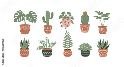 Variety of Potted Houseplants and Succulents 9.