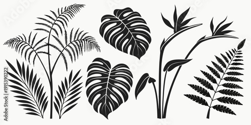 A detailed illustration of various types of leaves and ferns in black and white Vector