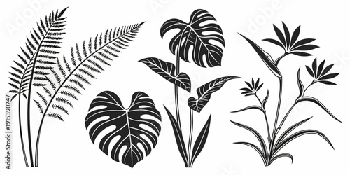 A collection of various tropical and exotic plants with intricate details Vector