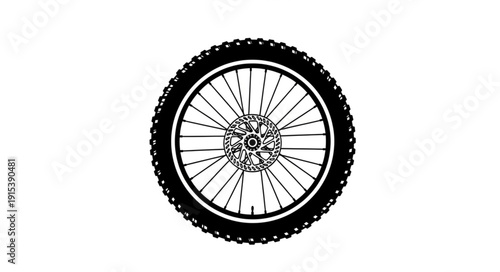 Bicycle Wheel with Spokes and Tire.