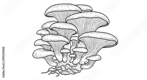 Simple vector file icon on a plain white background