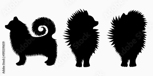 Silhouettes of three fluffy dogs showing different poses and tail shapes