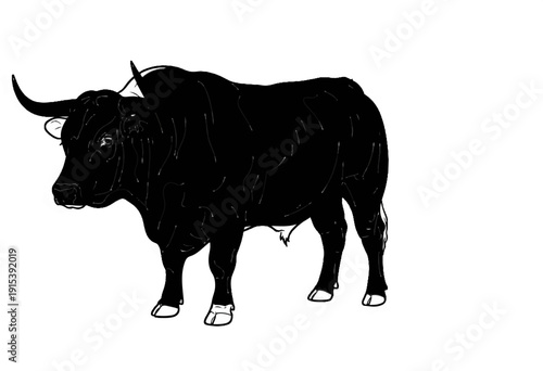 A black bull stands stoically against a plain white background, its powerful form depicted