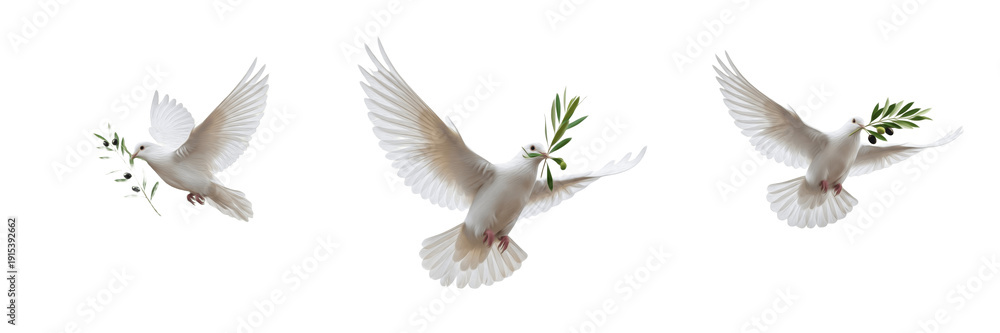 Fototapeta premium Set White Dove of Peace Illustrations - Graceful Flying Birds with Olive Branch Symbols Transparent Background PNG