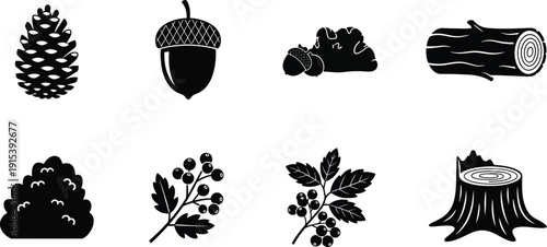 Collection of forest icons including pine cone acorn berries and wood elements perfect for nature or autumn themed designs