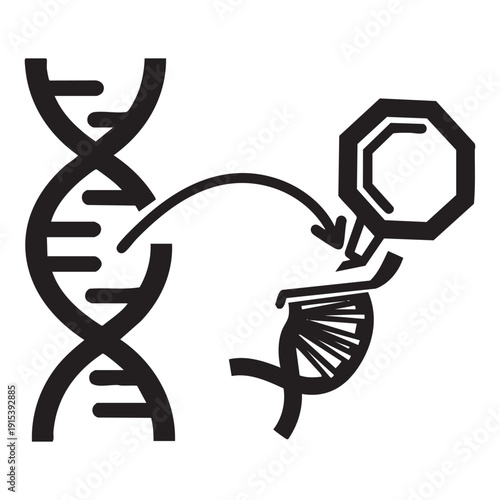 Crispr-cas9 gene editing process