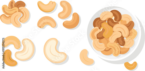 Cashew Nut Illustration Set Roasted and Raw Healthy Snack Ingredient in Bowl Isolated Food Vector Collection