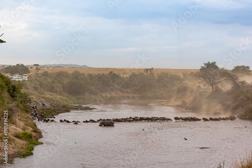 Obraz na płótnie Сrossing across Mara River in Kenya