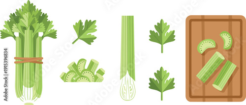 Celery Vegetable Set Fresh Stalk Bunch Sliced on Cutting Board Organic Healthy Food Ingredient Flat Vector Illustration Collection