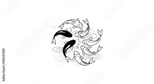 A circular pattern of black and white fish swimming in water with lily pads