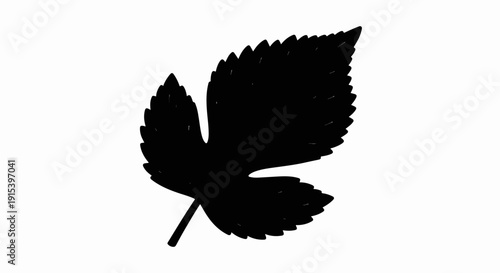 A dark silhouette of a deeply lobed, serrated leaf with a stem