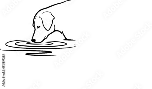 A dog with its snout in rippling water, rendered in a simple, bold sketch style