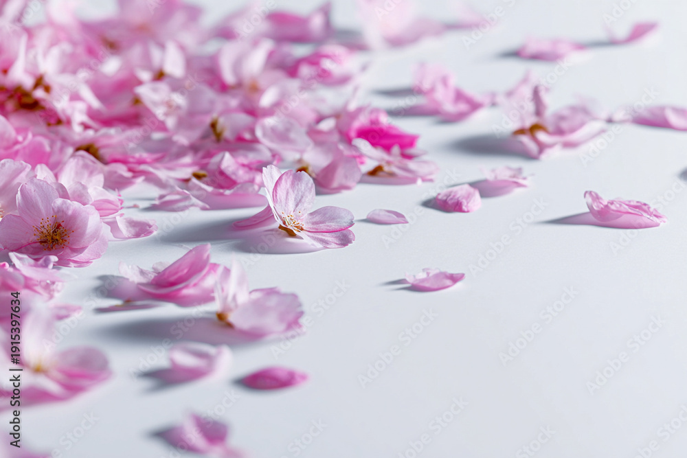 Obraz premium Pink Sakura Petal Texture