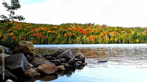 Picturesque autumn landscape featuring a calm lake with a rocky shore. Distant hills are covered in a forest of vibrant fall foliage