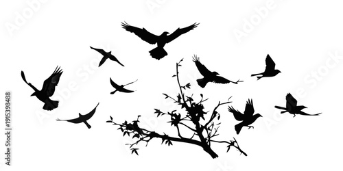 A flock of birds flying over a barren tree in a stark black and white image Vector